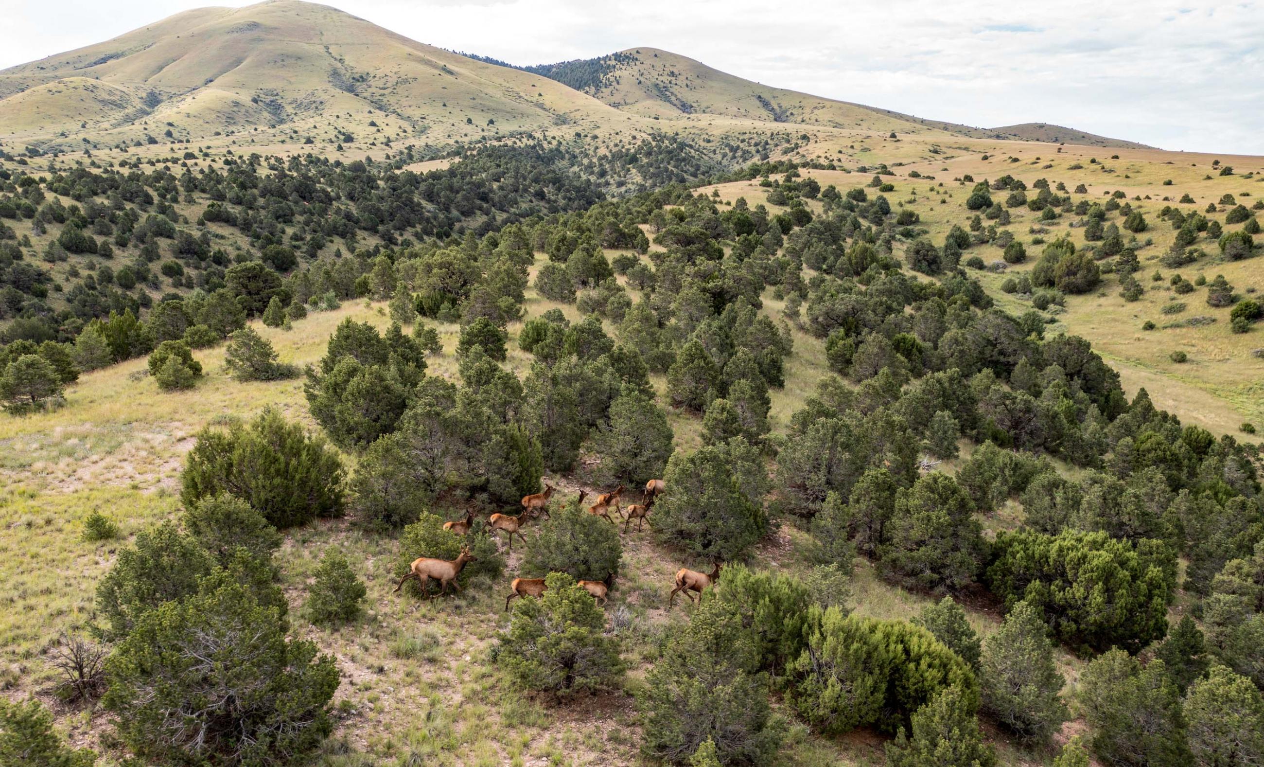 Laughlin Peak Ranch Chas S. Middleton